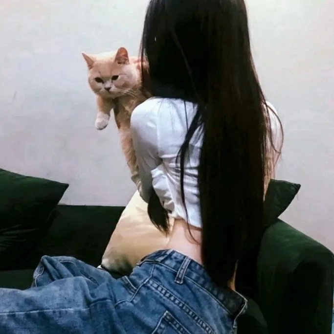 穆钦巴赫